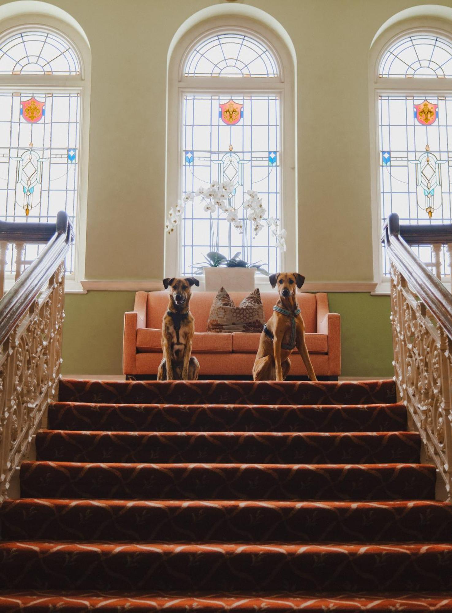 The Headland Hotel And Spa Newquay  Bagian luar foto